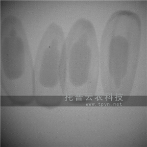 種子活力測定儀