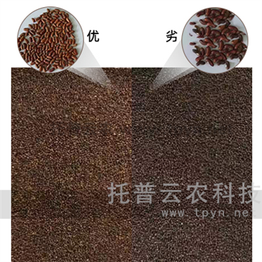 多功能智能種子色選機(jī)