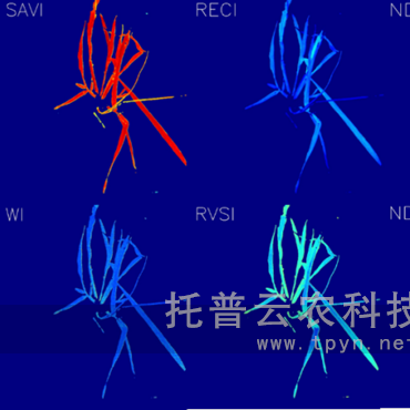 高通量逆境模擬及植物生長(zhǎng)監(jiān)測(cè)平臺(tái)