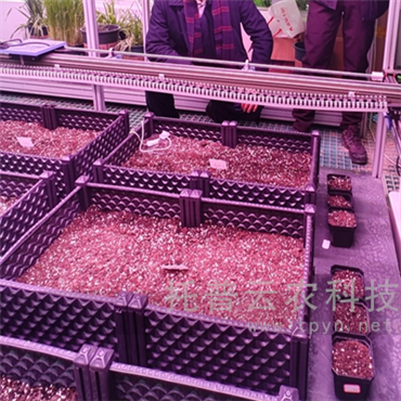 人工氣候室植物表型監(jiān)測系統(tǒng)