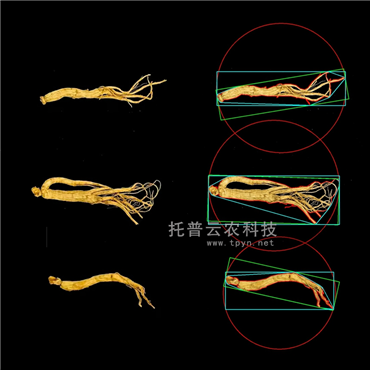 中藥材品質(zhì)分析系統(tǒng)