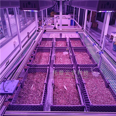 室內種子萌發(fā)表型監(jiān)測系統(tǒng)