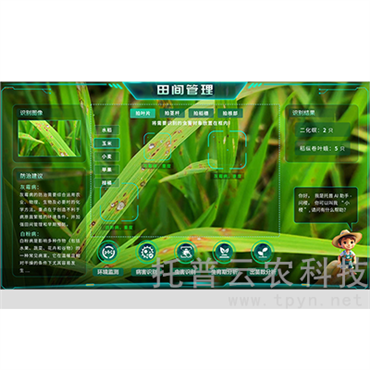 便攜式作物健康AR分析系統(tǒng)(AR眼鏡)