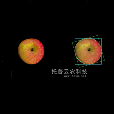 高光譜品質(zhì)分析儀（果實(shí)）