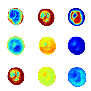 高光譜品質(zhì)分析儀（果實(shí)）