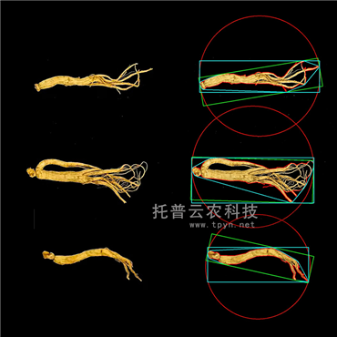 中藥材品質(zhì)分析系統(tǒng)