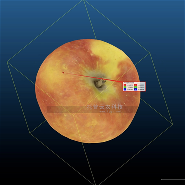果實(shí)三維表型分析系統(tǒng)