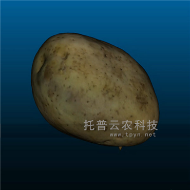 果實(shí)三維表型分析系統(tǒng)