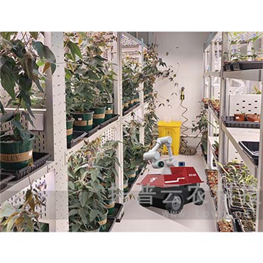 智能人工氣候室