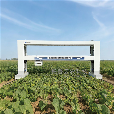 龍門式高通量表型采集分析平臺(tái)（地軌式）