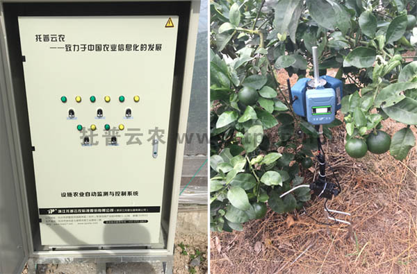 實時傳輸采集數(shù)據(jù)