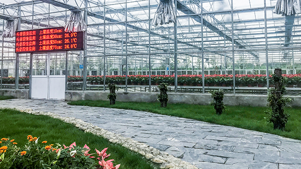 托普云農(nóng)全自動托管式溫室大棚