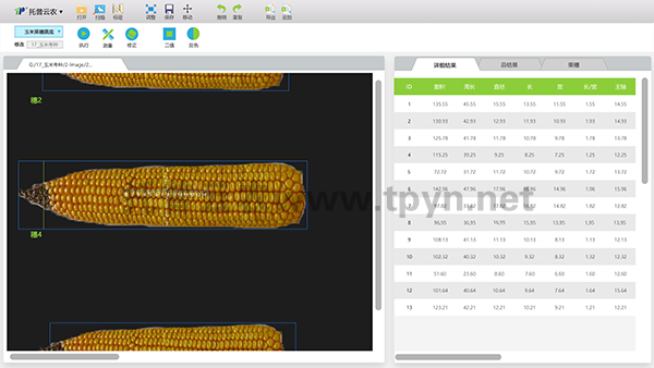 玉米考種系統(tǒng)
