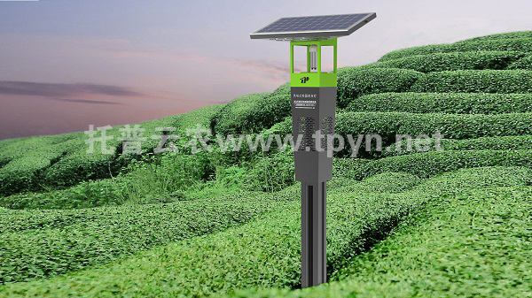 驚蟄春醒桃花開 黃鸝歌唱燕歸來