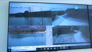 省委副書記鄭柵潔考察德清早園筍項目“點贊”產供銷一體化創(chuàng)新模式