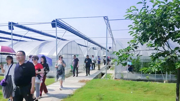 托普云農(nóng)助力青海省農(nóng)機(jī)信息化，海西州農(nóng)機(jī)中心來(lái)杭培訓(xùn)