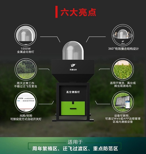 高空測報燈上線，草地貪夜蛾無所遁形