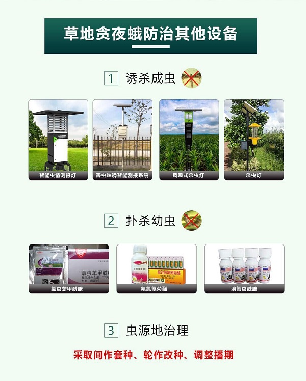 高空測報燈上線，草地貪夜蛾無所遁形