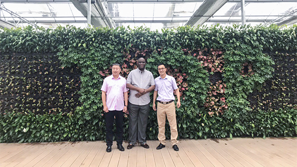 加強(qiáng)國際化合作：尼日利亞農(nóng)業(yè)銀行行長(zhǎng)來訪托普云農(nóng)