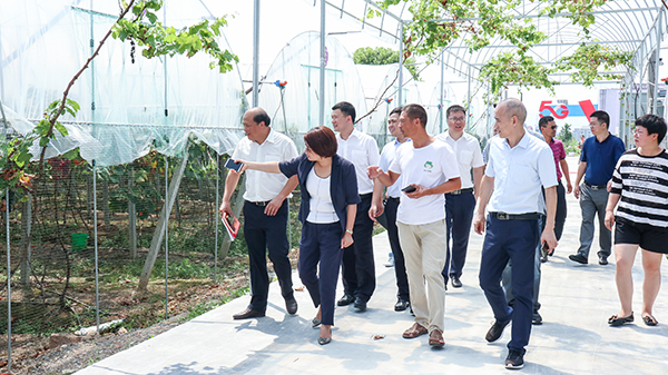 托普云農(nóng)助力浦江打造5G+農(nóng)業(yè)信息化應(yīng)用先行標(biāo)桿縣