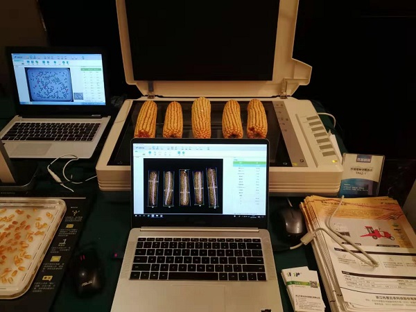 2019年國家黃淮海區(qū)玉米新品種展示示范觀摩暨品種試驗培訓(xùn)班在豫舉行