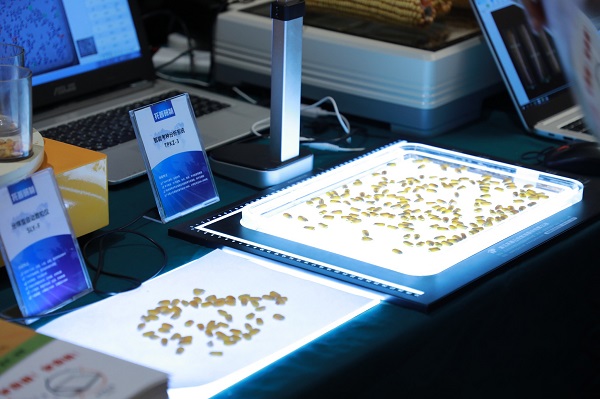 2019年國家黃淮海區(qū)玉米新品種展示示范觀摩暨品種試驗培訓(xùn)班在豫舉行