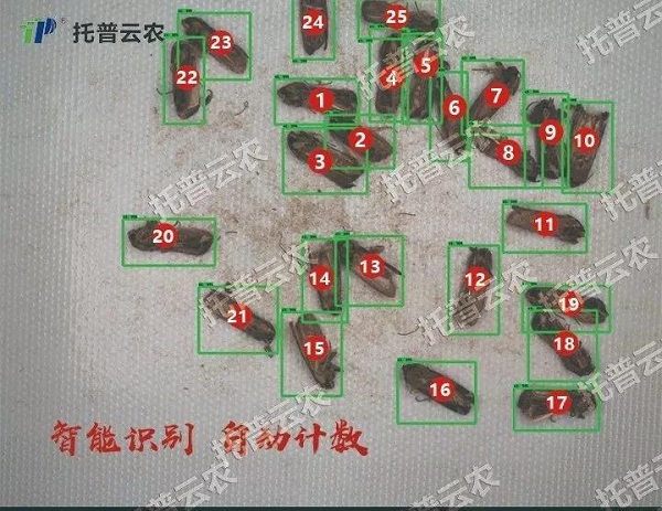 “蟲臉識別”開啟人工智能產業(yè)應用新篇章