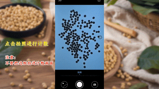 “蟲臉識別”開啟人工智能產業(yè)應用新篇章