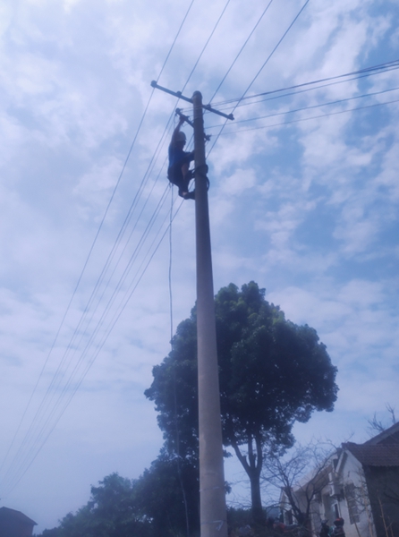  托普云農(nóng)順利完成農(nóng)業(yè)農(nóng)村部“三區(qū)三帶”布防任務(wù)