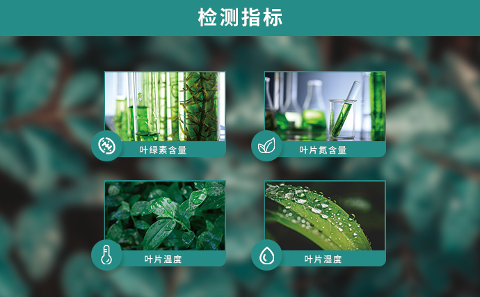 植物營養(yǎng)速測儀可檢測指標(biāo)