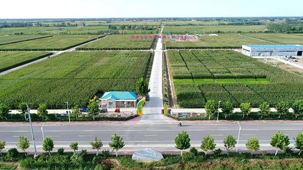 商河國家農(nóng)作物品種展示示范中心