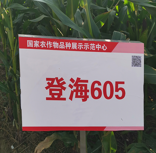 農(nóng)作物品種身份溯源