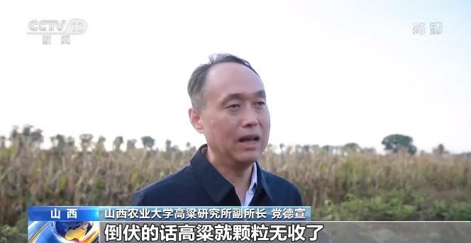 ɽ���r(n��ng)�I(y��)��W(xu��)�����о��������L(zh��ng) �h����