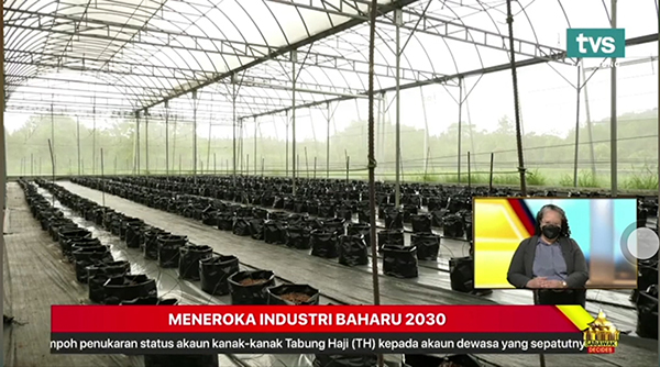 托普云農數(shù)字農業(yè)解決方案在馬來西亞的應用場景