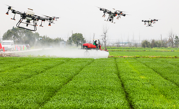 寧波古林“無(wú)人農(nóng)場(chǎng)”