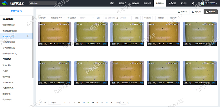 蟲(chóng)情圖片