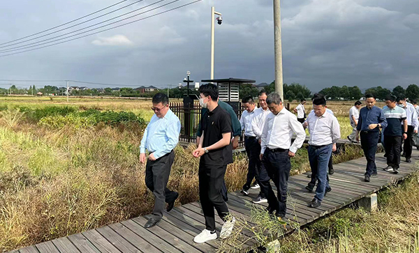 省農(nóng)業(yè)農(nóng)村廳黨組書(shū)記、廳長(zhǎng)王通林一行觀摩農(nóng)作物病蟲(chóng)害監(jiān)測(cè)點(diǎn)