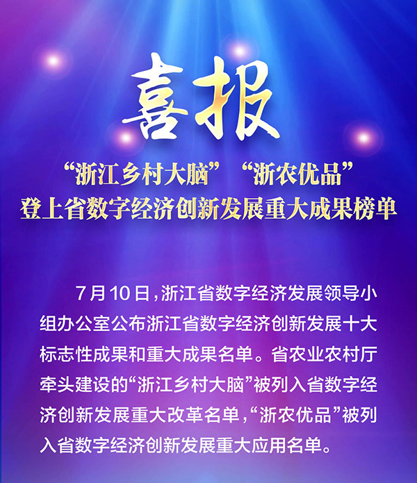 喜報(bào)！“浙江鄉(xiāng)村大腦”登上省數(shù)字經(jīng)濟(jì)創(chuàng)新發(fā)展重大成果榜單