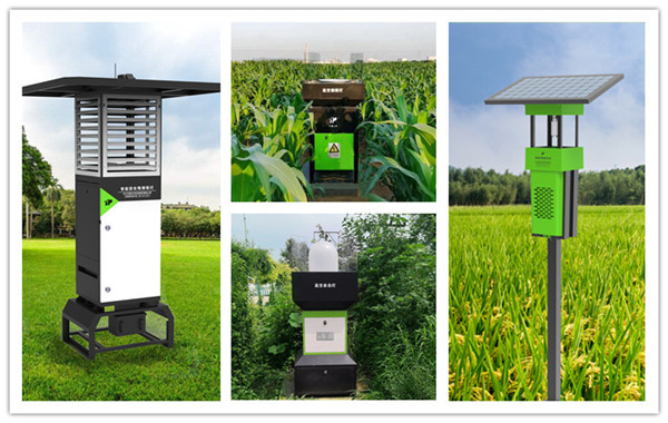 多地迎來草地螟遷飛活躍期,布好防控確保糧食穩(wěn)產增收