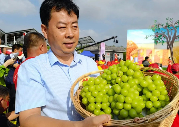 托普云農(nóng)：以創(chuàng)新致匠心，用科技改變傳統(tǒng)農(nóng)業(yè)