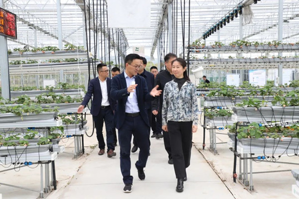 培訓(xùn)班一行走進(jìn)示范園，董事長陳渝陽陪同