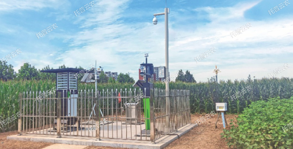 實時采集制種基地農(nóng)情、墑情、病情、蟲情數(shù)據(jù)信息