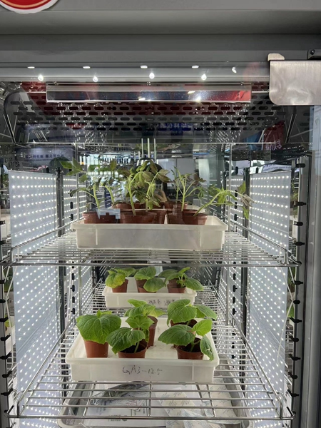 托普云農(nóng)智能人工氣候箱